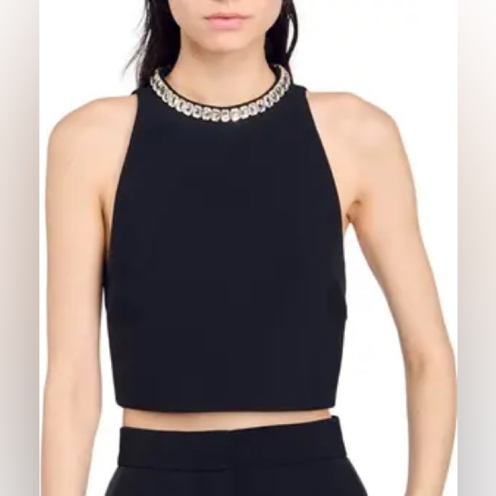 Sandro Rhinestone Crop Tank - Picture 5 of 5